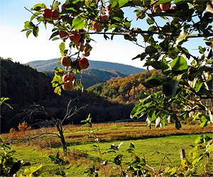 Raven Rocks Farm - Watauga County NC