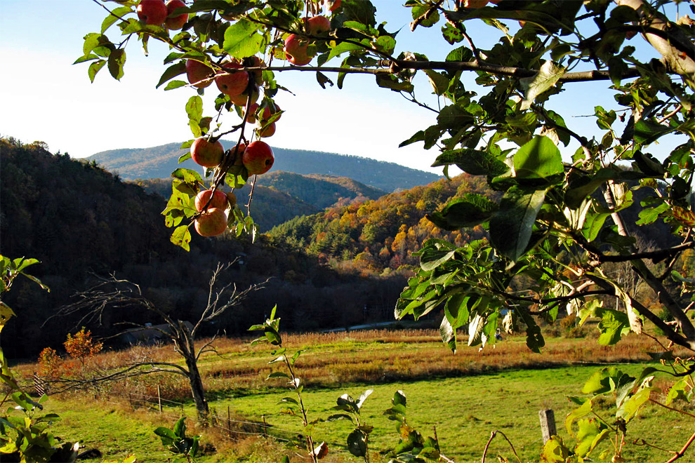 Raven Rocks Farm - Watauga County NC