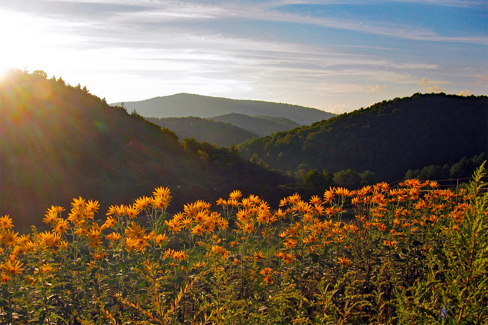 Raven Rocks Farm - Watauga County NC